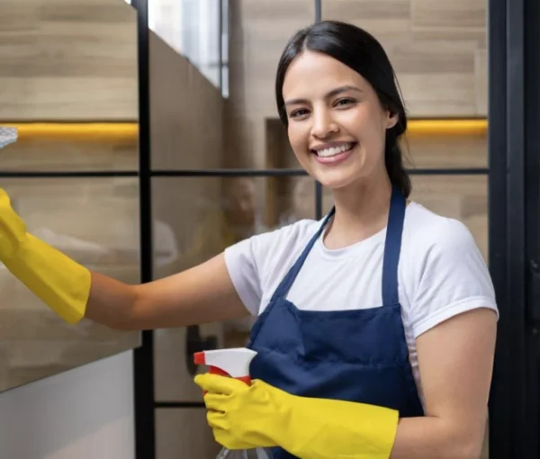 compressed_sv-image6